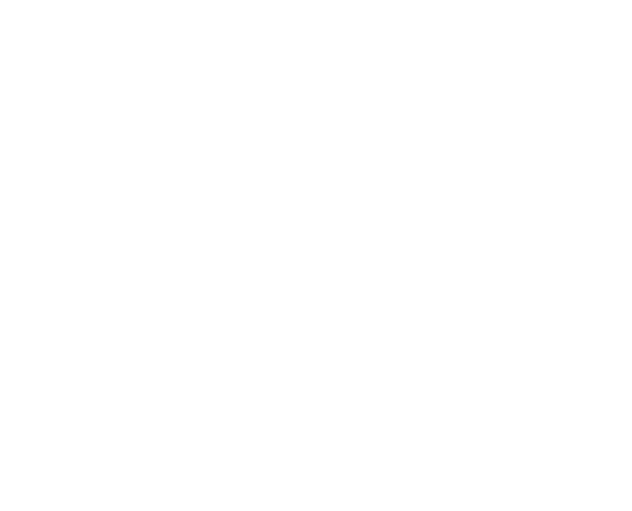 The Team Legacy BJJ and Taekwondo wordmark